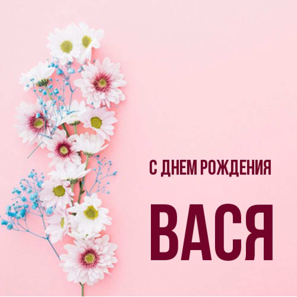 Открытка на каждый день с именем, Вася С днем рождения Родная моя с днем рождения тебя картинка с цветами белыми и голубыми Прикольная открытка с пожеланием онлайн скачать бесплатно 