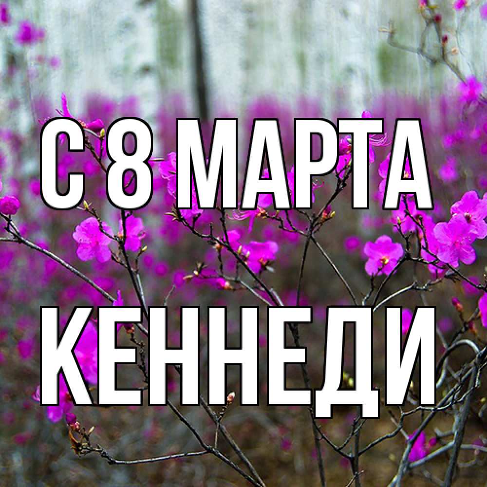 Открытка на каждый день с именем, Кеннеди C 8 МАРТА дикие цветы Прикольная открытка с пожеланием онлайн скачать бесплатно 