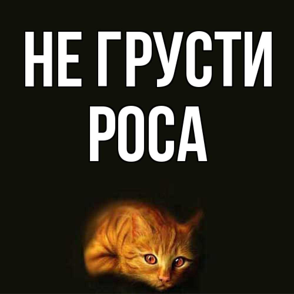 Открытка на каждый день с именем, Роса Не грусти лежащий кот в темноте Прикольная открытка с пожеланием онлайн скачать бесплатно 