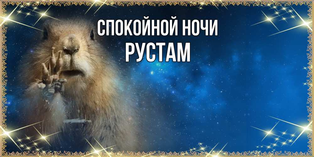 Открытка на каждый день с именем, Рустам Спокойной ночи спокойной ночи сладких снов Прикольная открытка с пожеланием онлайн скачать бесплатно 