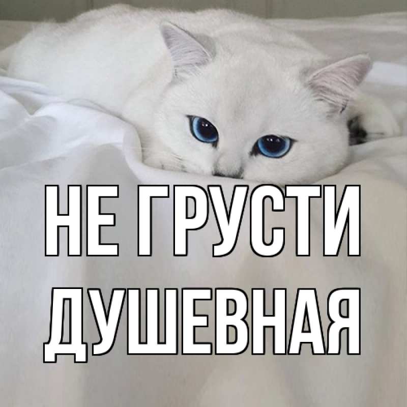 Картинка Не грусти, Душевная