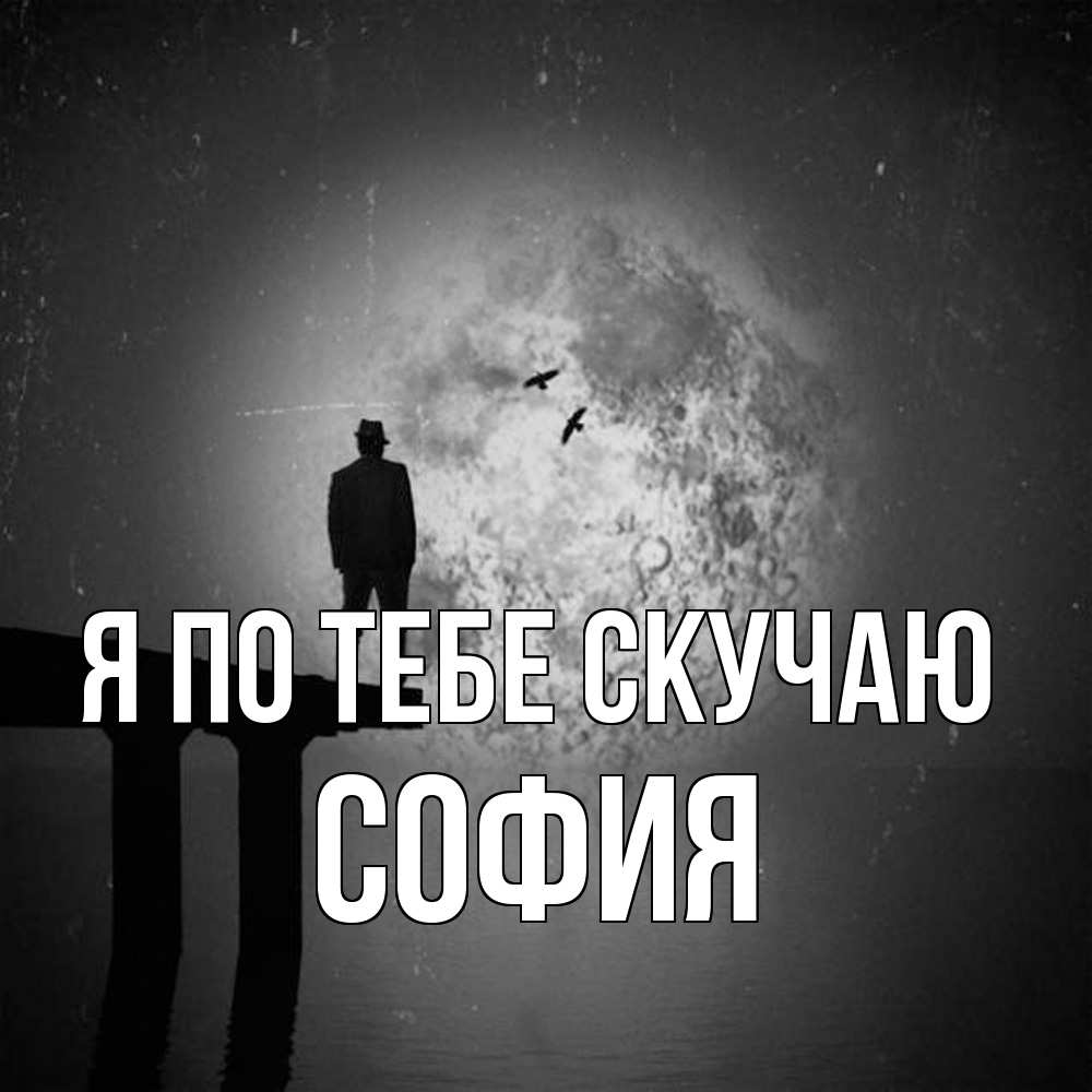 Открытка на каждый день с именем, София Я по тебе скучаю мост 1 Прикольная открытка с пожеланием онлайн скачать бесплатно 