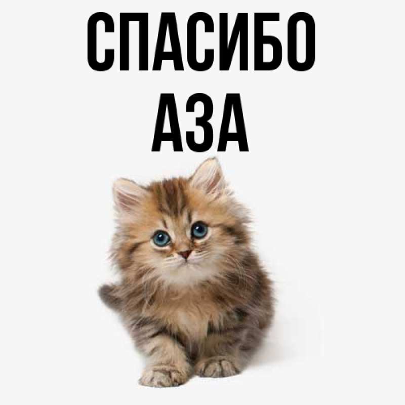 Картинка Спасибо, Аза