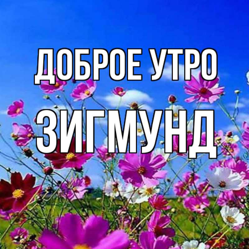 Картинка Доброе утро, Зигмунд