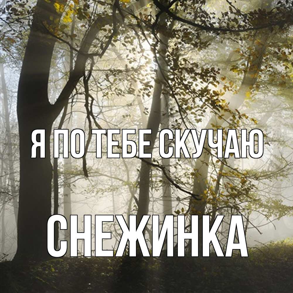 Открытка на каждый день с именем, Снежинка Я по тебе скучаю грустно Прикольная открытка с пожеланием онлайн скачать бесплатно 