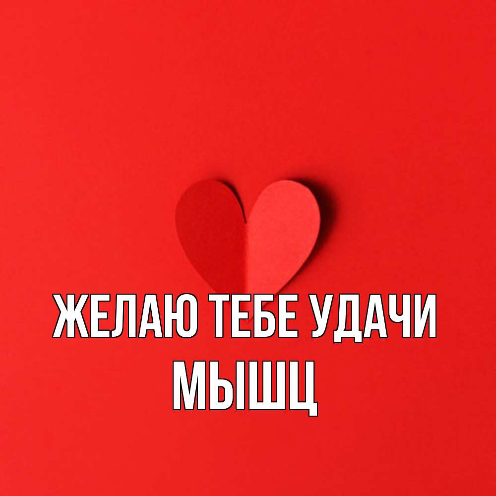 Открытка на каждый день с именем, Мышц Желаю тебе удачи пусть повезет для любимых 1 Прикольная открытка с пожеланием онлайн скачать бесплатно 