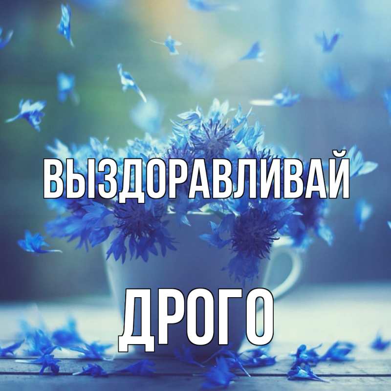 Картинка Выздоравливай, Дрого
