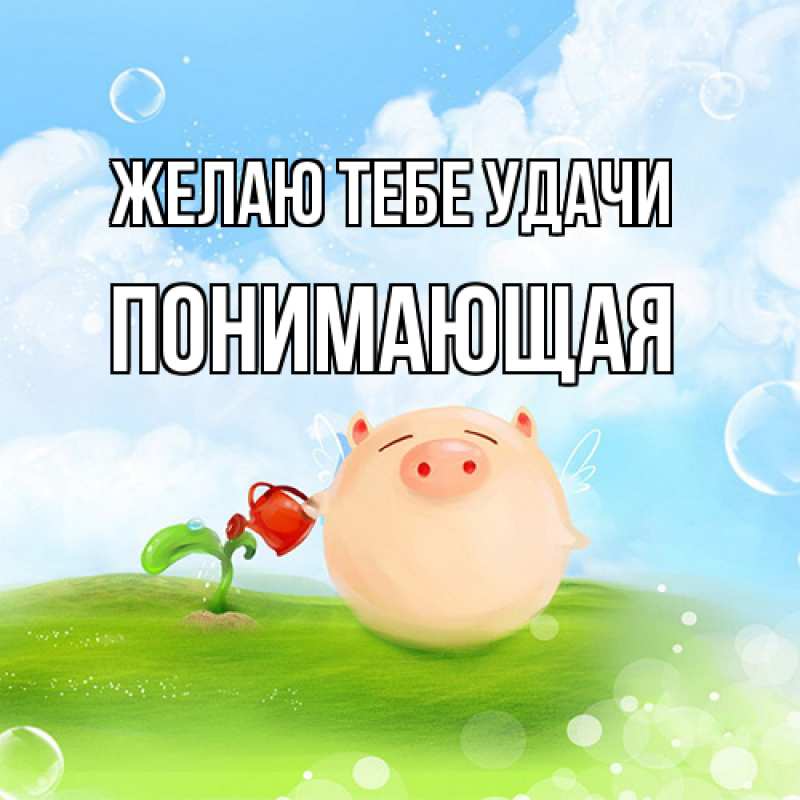 Картинка Желаю тебе удачи, Понимающая