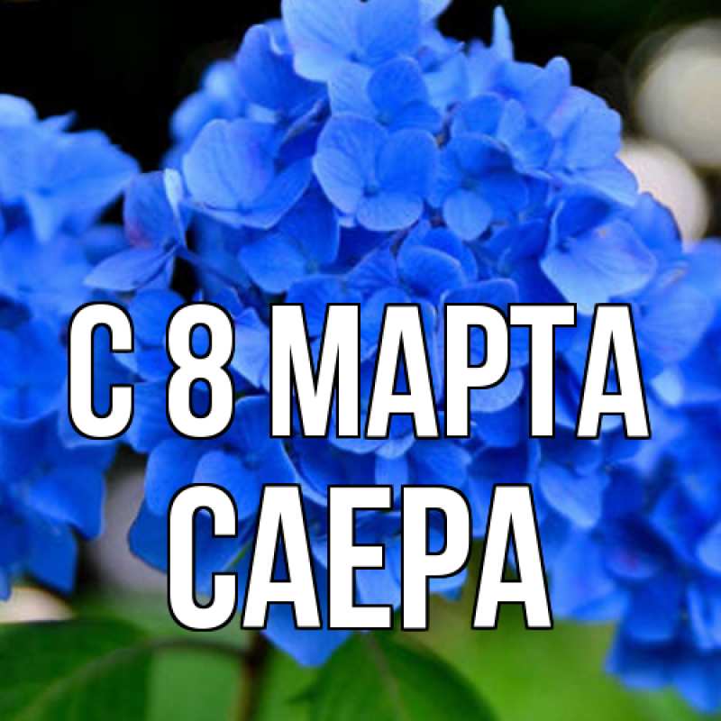Картинка C 8 МАРТА, Саера
