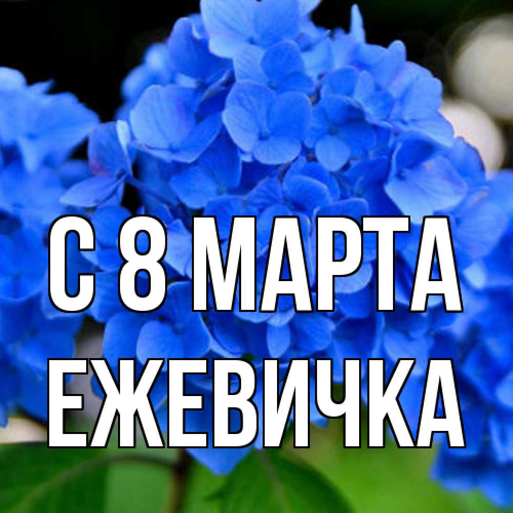 Открытка на каждый день с именем, ежевичка C 8 МАРТА синие цветы Прикольная открытка с пожеланием онлайн скачать бесплатно 
