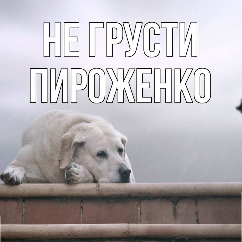 Картинка Не грусти, Пироженко