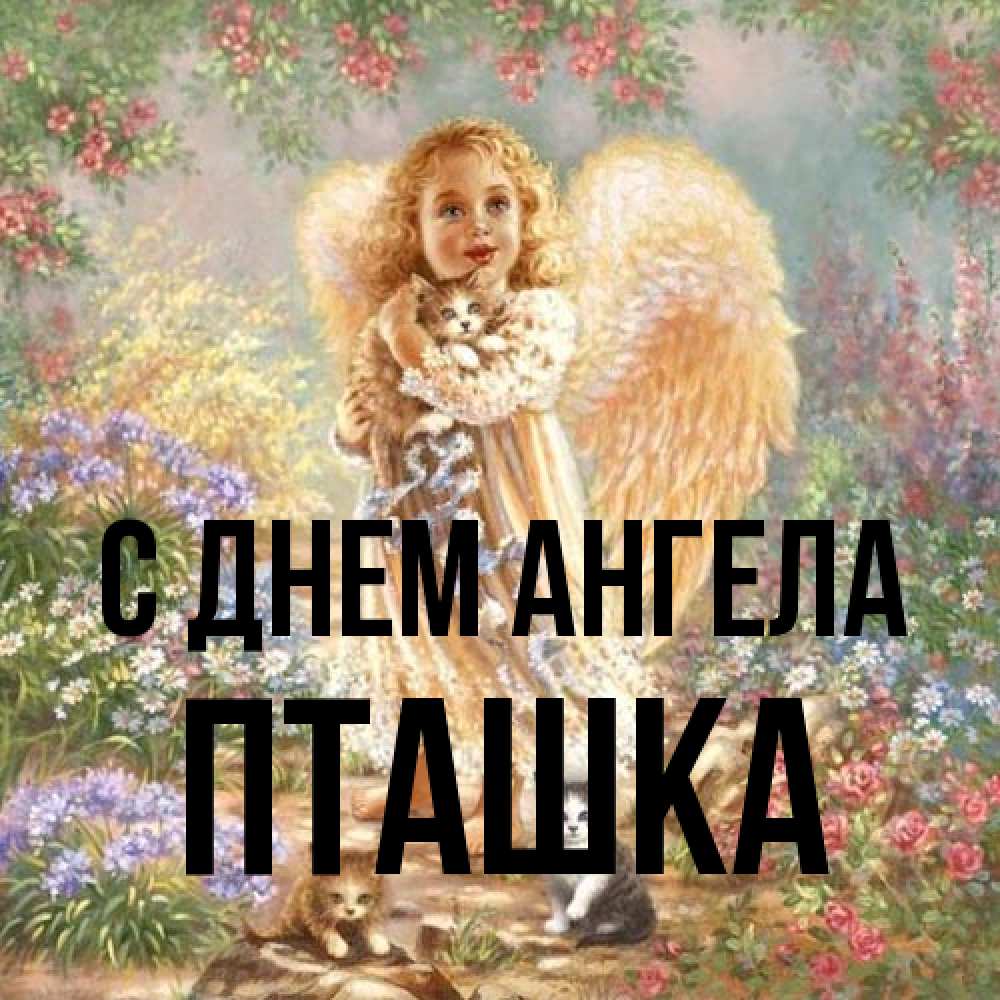 Открытка на каждый день с именем, пташка С днем ангела держит котенка Прикольная открытка с пожеланием онлайн скачать бесплатно 