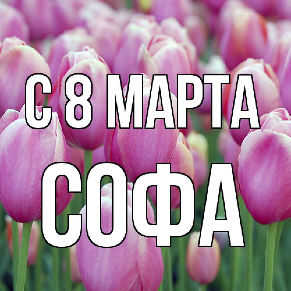Открытка на каждый день с именем, Софа C 8 МАРТА на международный женский день 3 Прикольная открытка с пожеланием онлайн скачать бесплатно 