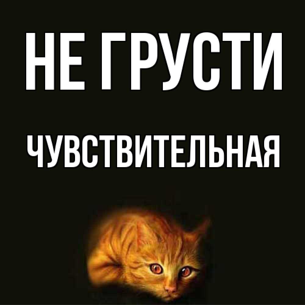 Открытка на каждый день с именем, Чувствительная Не грусти лежащий кот в темноте Прикольная открытка с пожеланием онлайн скачать бесплатно 