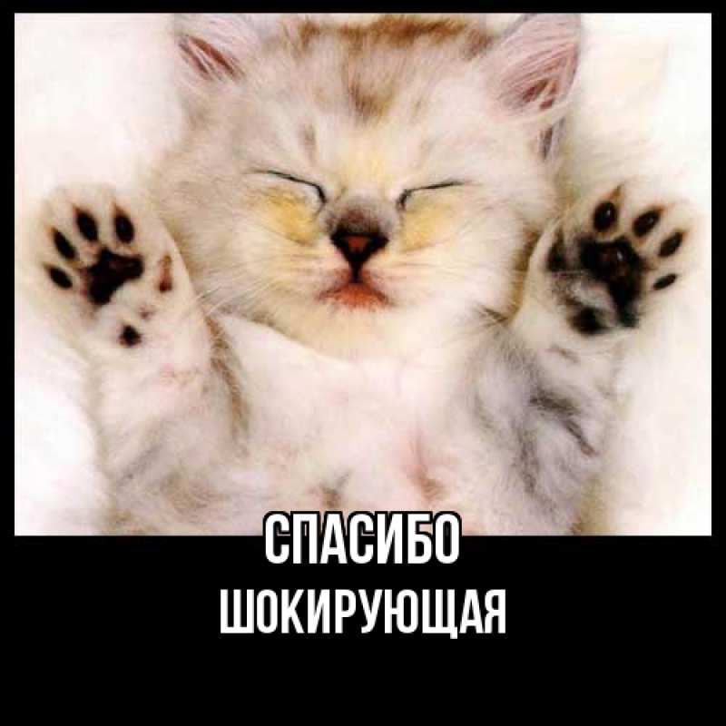 Картинка Спасибо, Шокирующая