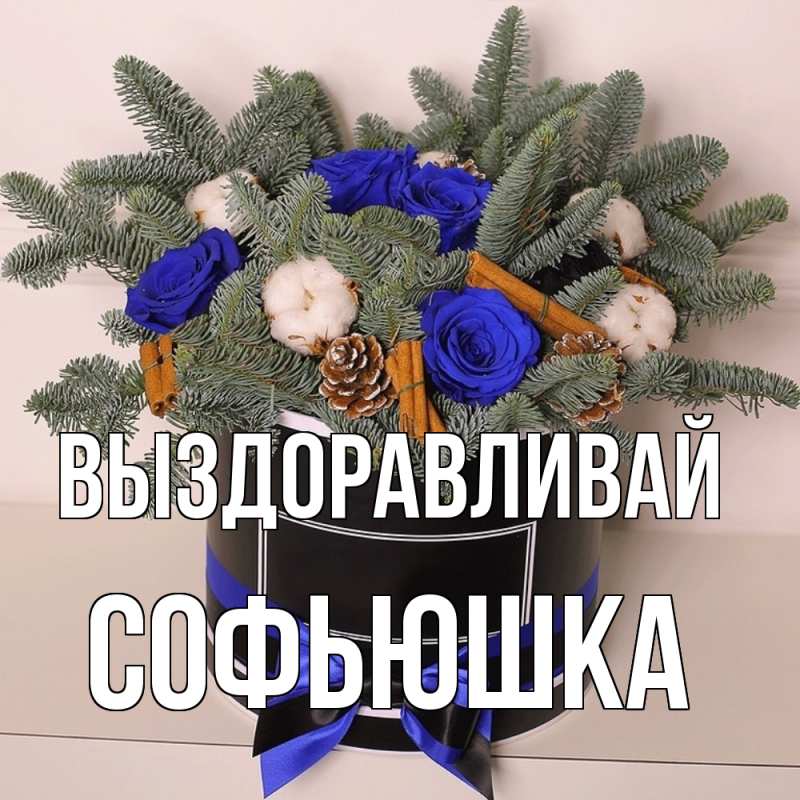 Картинка Выздоравливай, Софьюшка