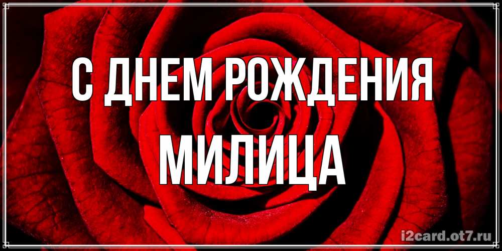 Открытка на каждый день с именем, Милица С днем рождения алая роза Прикольная открытка с пожеланием онлайн скачать бесплатно 