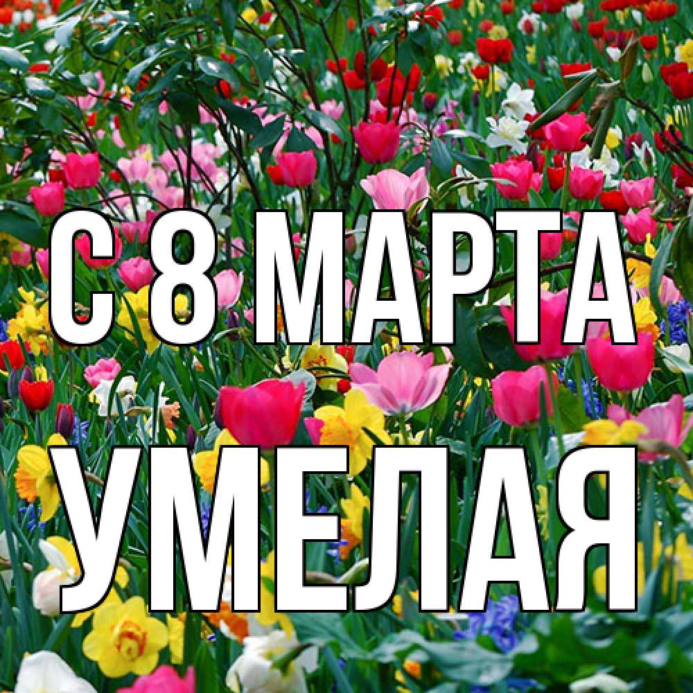 Открытка на каждый день с именем, Умелая C 8 МАРТА с международным женским днем поздравления для женщины Прикольная открытка с пожеланием онлайн скачать бесплатно 