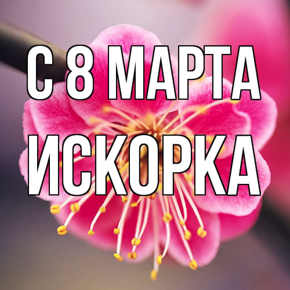 Открытка на каждый день с именем, искорка C 8 МАРТА цветы Прикольная открытка с пожеланием онлайн скачать бесплатно 
