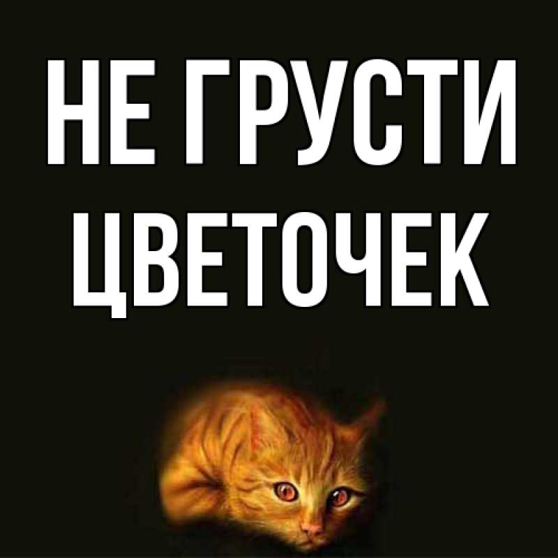 Картинка Не грусти, Цветочек