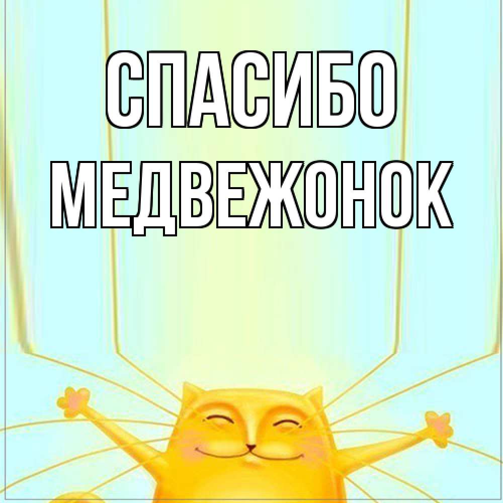 Открытка на каждый день с именем, медвежонок Спасибо кот с усами благодарит Прикольная открытка с пожеланием онлайн скачать бесплатно 