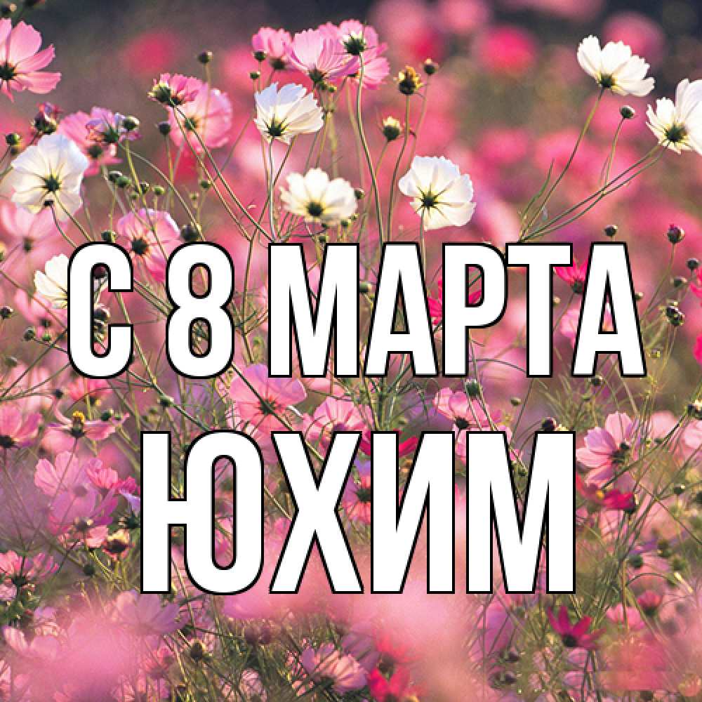 Открытка на каждый день с именем, Юхим C 8 МАРТА красиво 1 Прикольная открытка с пожеланием онлайн скачать бесплатно 