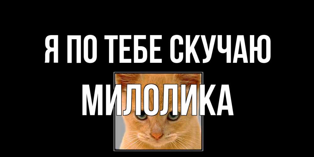 Открытка на каждый день с именем, Милолика Я по тебе скучаю открытки рыжий котенок скучает по тебе Прикольная открытка с пожеланием онлайн скачать бесплатно 