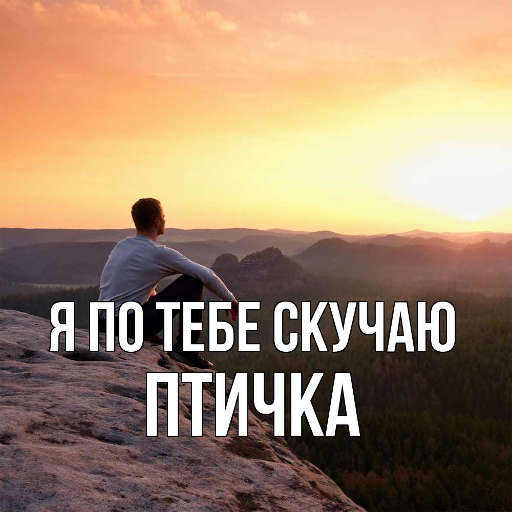 Открытка на каждый день с именем, Птичка Я по тебе скучаю открытка про скучашки 1 Прикольная открытка с пожеланием онлайн скачать бесплатно 