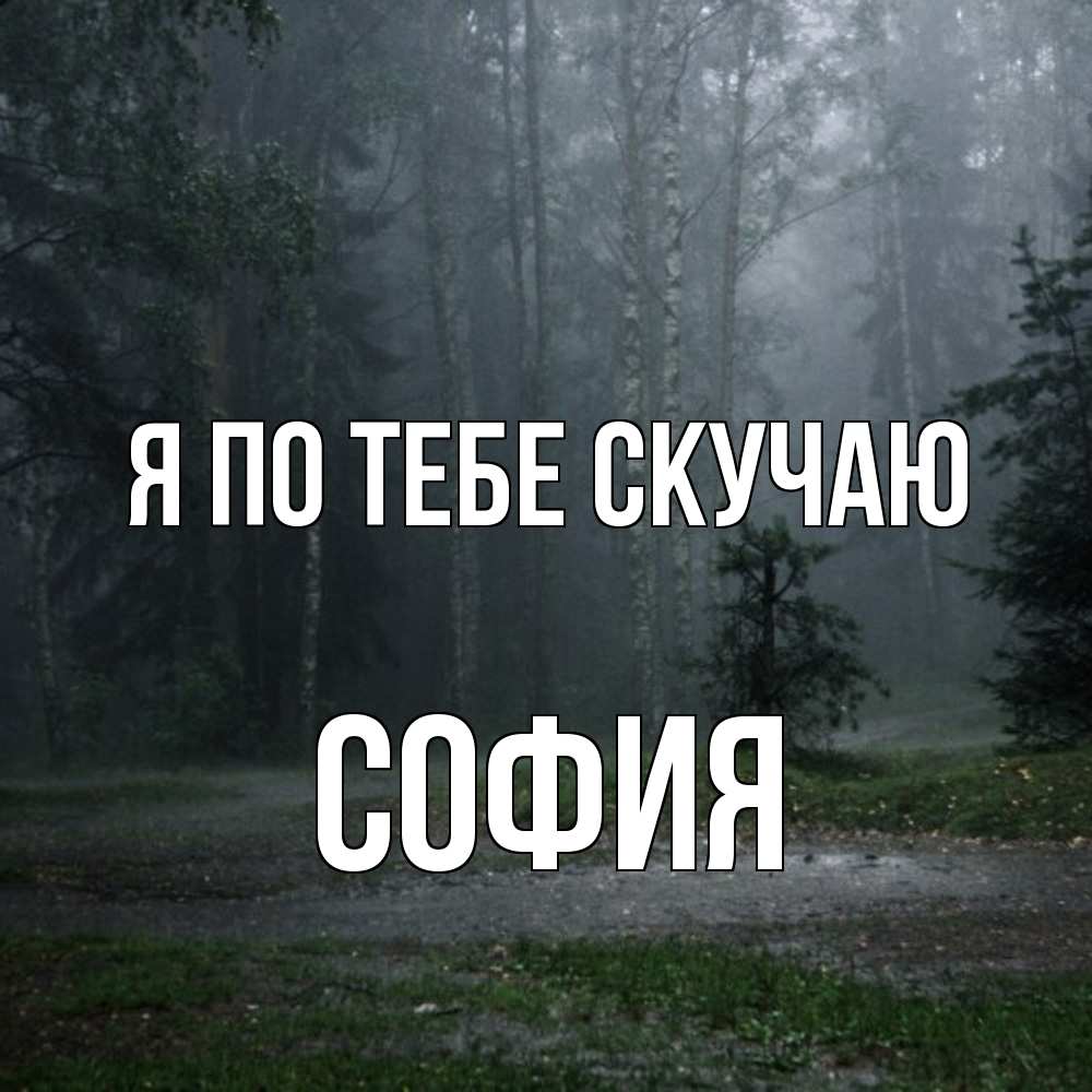 Открытка на каждый день с именем, София Я по тебе скучаю одна и плохо мне Прикольная открытка с пожеланием онлайн скачать бесплатно 