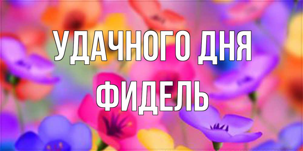 Открытка на каждый день с именем, Фидель Удачного дня открытка повышающая настроение Прикольная открытка с пожеланием онлайн скачать бесплатно 