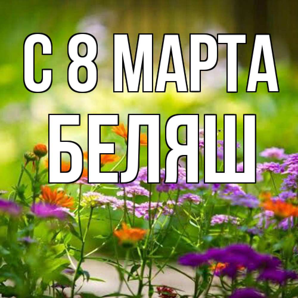 Открытка на каждый день с именем, Беляш C 8 МАРТА цветы Прикольная открытка с пожеланием онлайн скачать бесплатно 