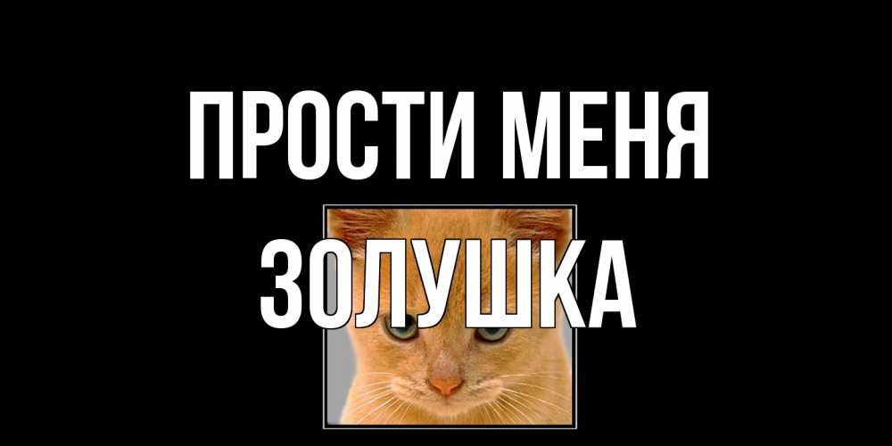 Открытка на каждый день с именем, Золушка Прости меня рыжий грустный кот просит прощения Прикольная открытка с пожеланием онлайн скачать бесплатно 