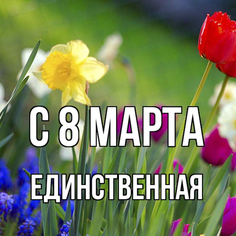 Картинка C 8 МАРТА, Единственная