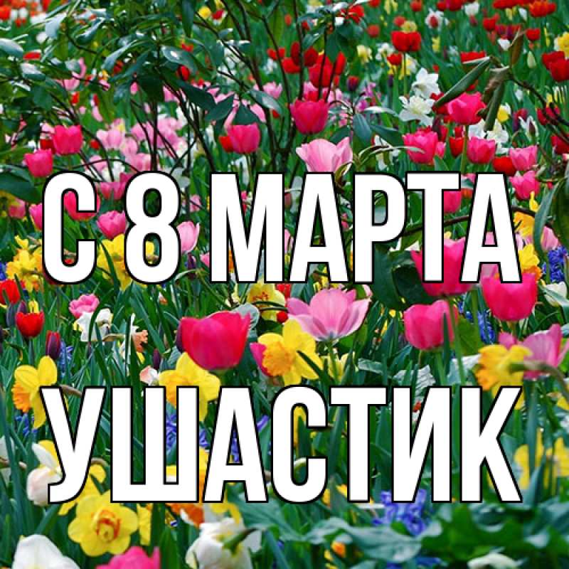 Картинка C 8 МАРТА, Ушастик