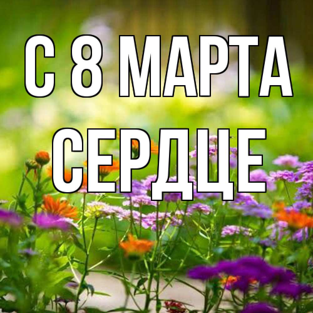Открытка на каждый день с именем, сердце C 8 МАРТА цветы Прикольная открытка с пожеланием онлайн скачать бесплатно 