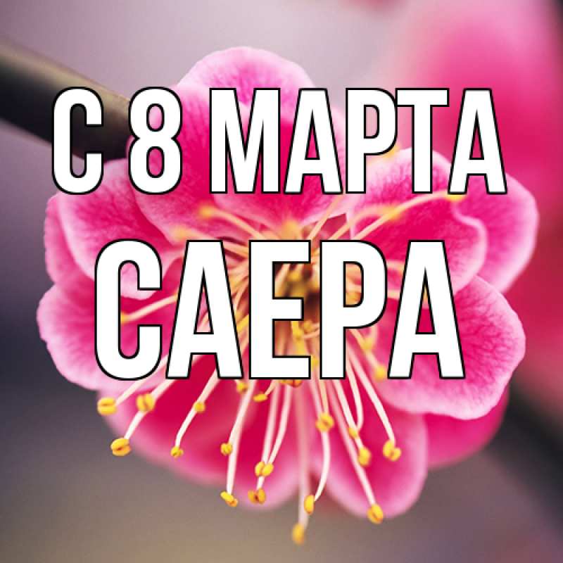 Картинка C 8 МАРТА, Саера