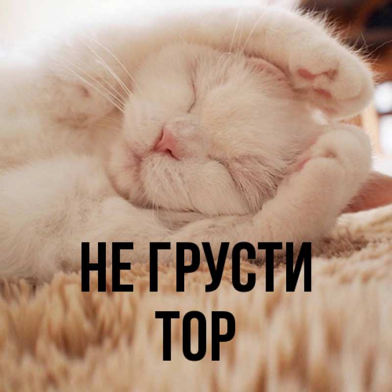 Картинка Не грусти, Тор