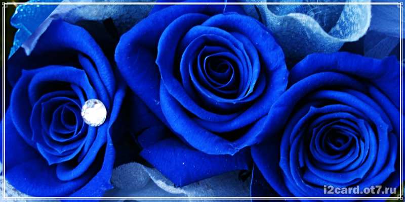 Картинка С днем рождения, хорошая