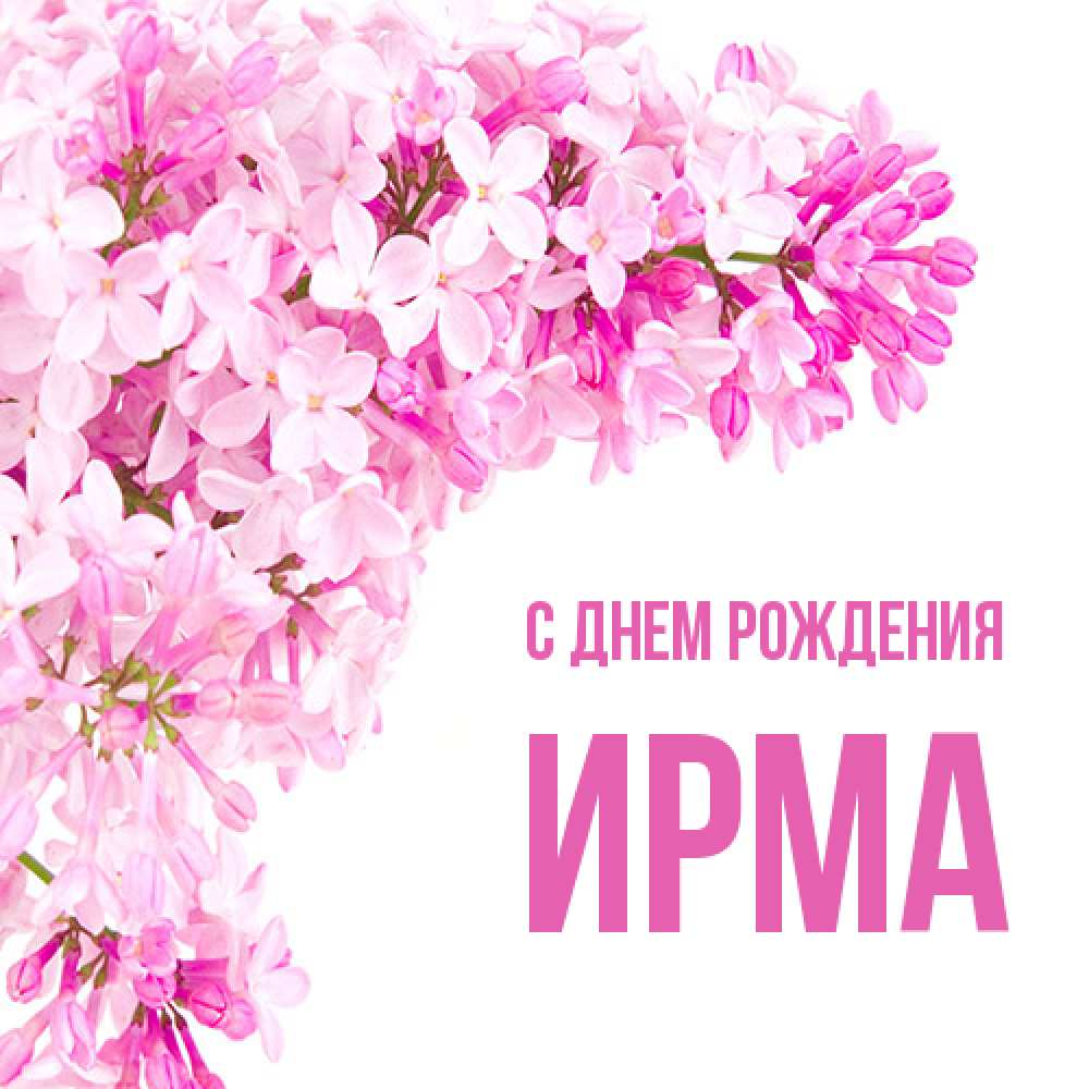 Открытка на каждый день с именем, Ирма С днем рождения Сирень на белом фоне Прикольная открытка с пожеланием онлайн скачать бесплатно 