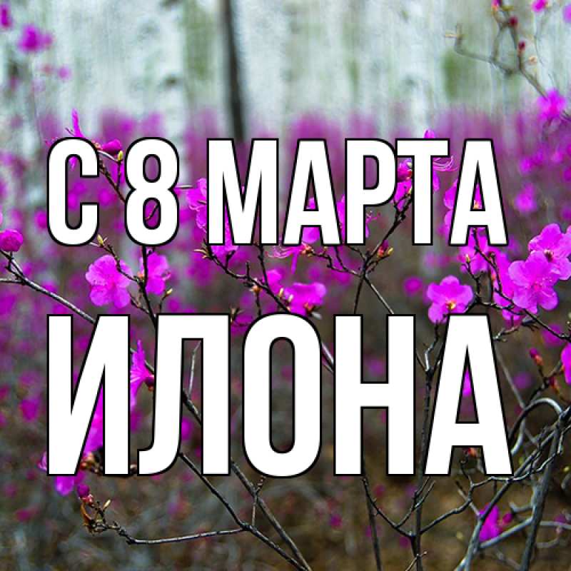 Картинка C 8 МАРТА, Илона