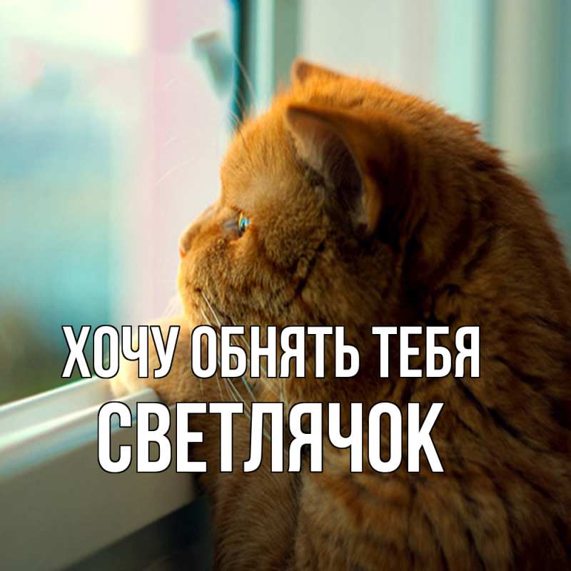 Картинка Хочу обнять тебя, Светлячок