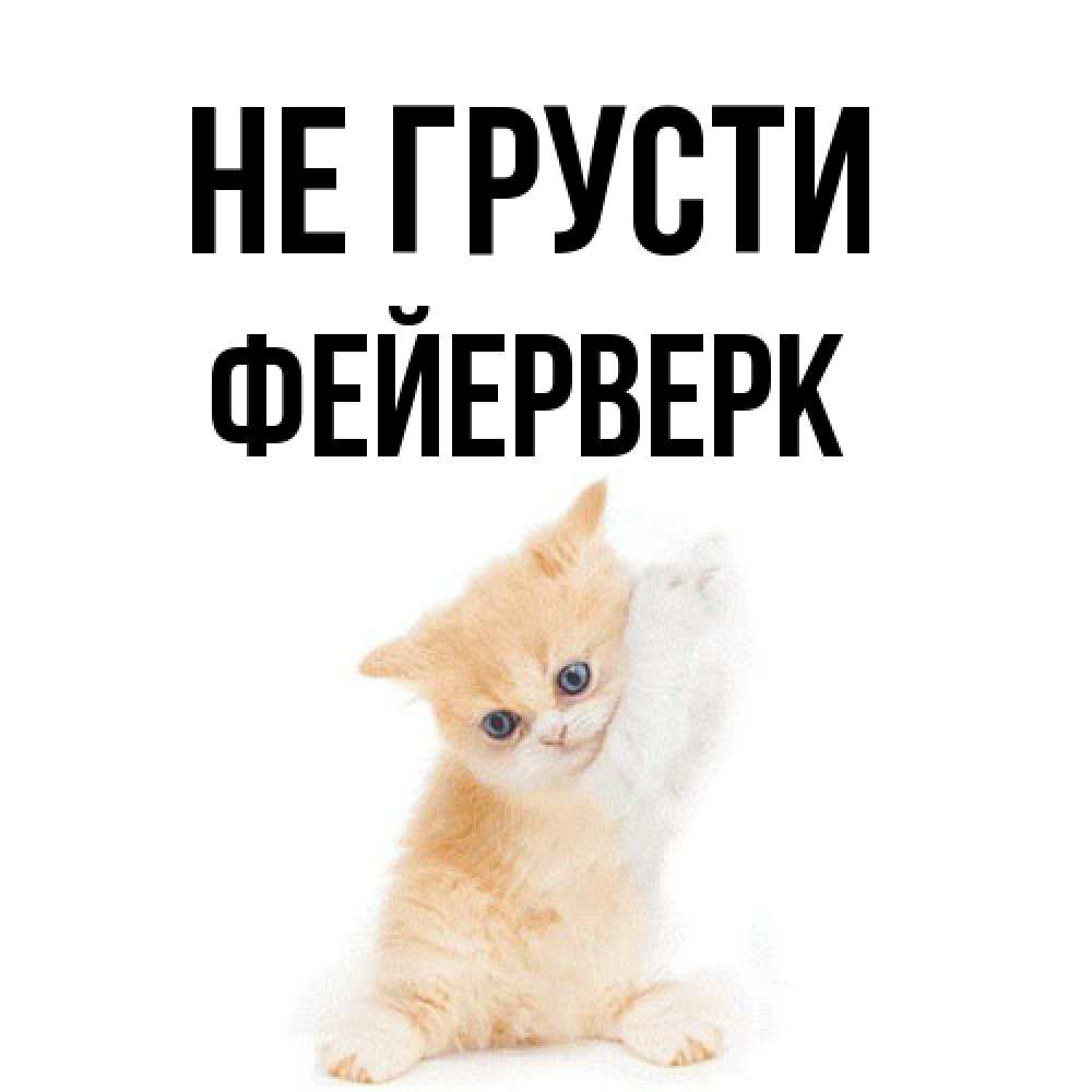 Открытка на каждый день с именем, Фейерверк Не грусти просящий кот Прикольная открытка с пожеланием онлайн скачать бесплатно 