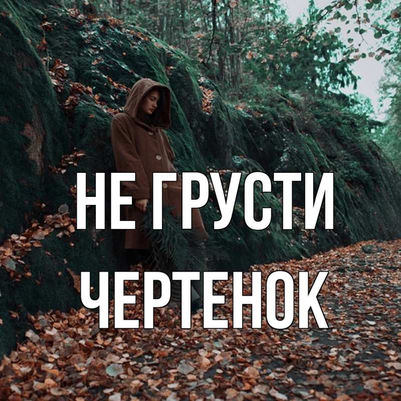 Картинка Не грусти, чеpтенок