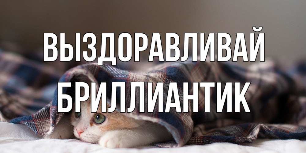 Открытка на каждый день с именем, Бриллиантик Выздоравливай не болейте с котиком Прикольная открытка с пожеланием онлайн скачать бесплатно 