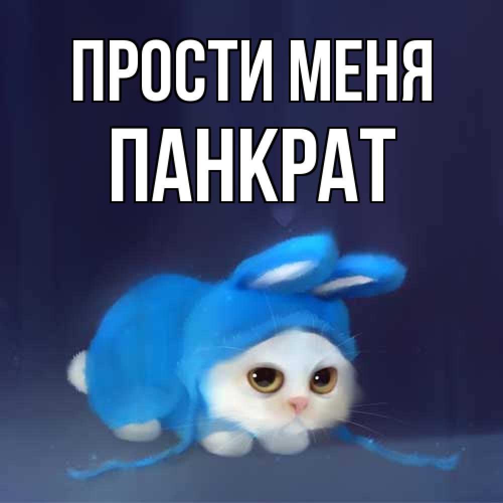 Открытка на каждый день с именем, Панкрат Прости меня невинный котозай просит прощения Прикольная открытка с пожеланием онлайн скачать бесплатно 