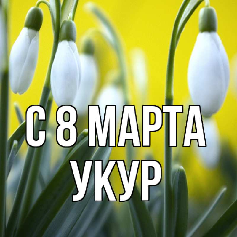 Картинка C 8 МАРТА, Укур