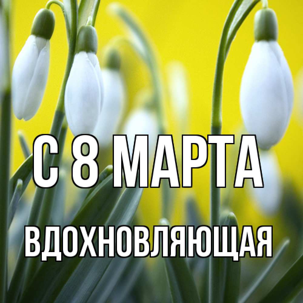 Открытка на каждый день с именем, вдохновляющая C 8 МАРТА весенние цветы Прикольная открытка с пожеланием онлайн скачать бесплатно 