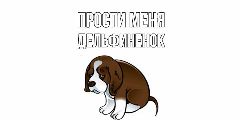 Картинка Прости меня, дельфиненок