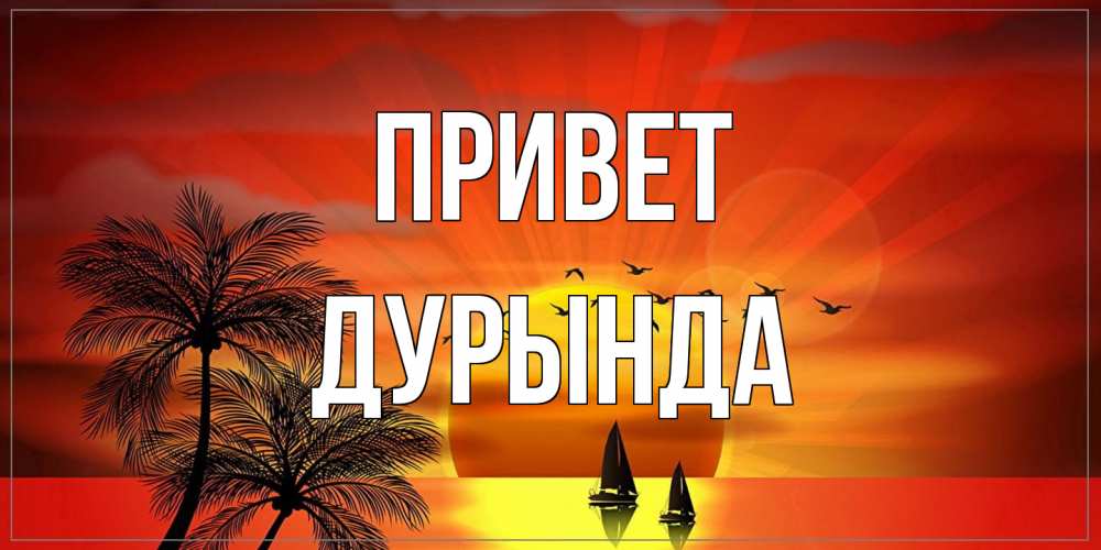 Открытка на каждый день с именем, Дурында Привет привет Прикольная открытка с пожеланием онлайн скачать бесплатно 