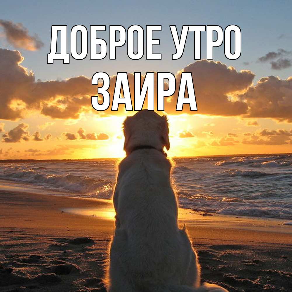 Открытка на каждый день с именем, Заира Доброе утро восход солнца Прикольная открытка с пожеланием онлайн скачать бесплатно 
